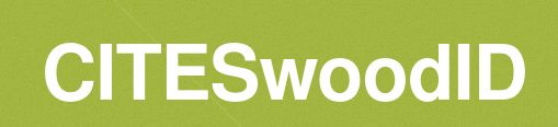 Curso SIG Logo