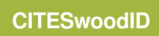 Curso SIG Logo