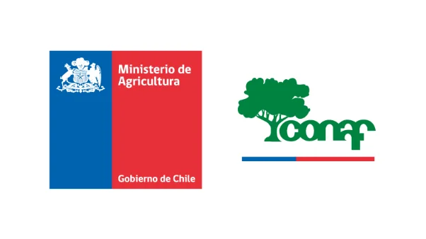 Curso SIG Logo