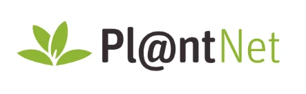 Curso SIG Logo